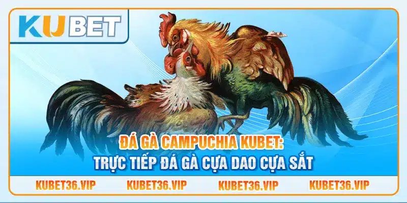 Đá gà Campuchia kubet: Trực tiếp đá gà cựa dao cựa sắt