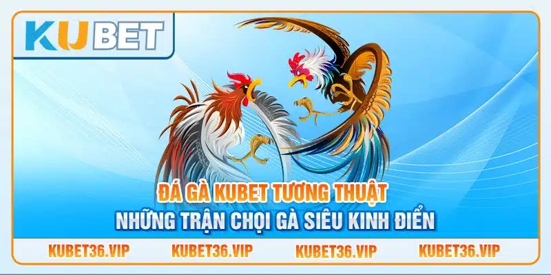 Đá Gà Kubet Tương Thuật Những Trận Chọi Gà Siêu Kinh Điển