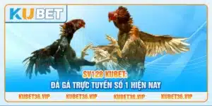 Sv128 kubet: Đá gà trực tuyến số 1 hiện nay