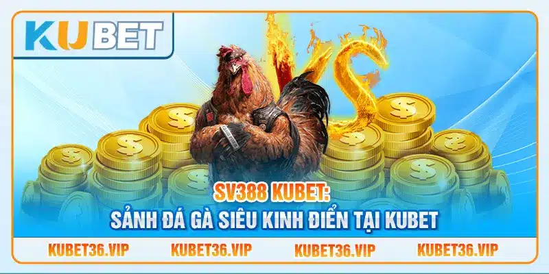 Sv388 kubet: Sảnh đá gà siêu kinh điển tại kubet