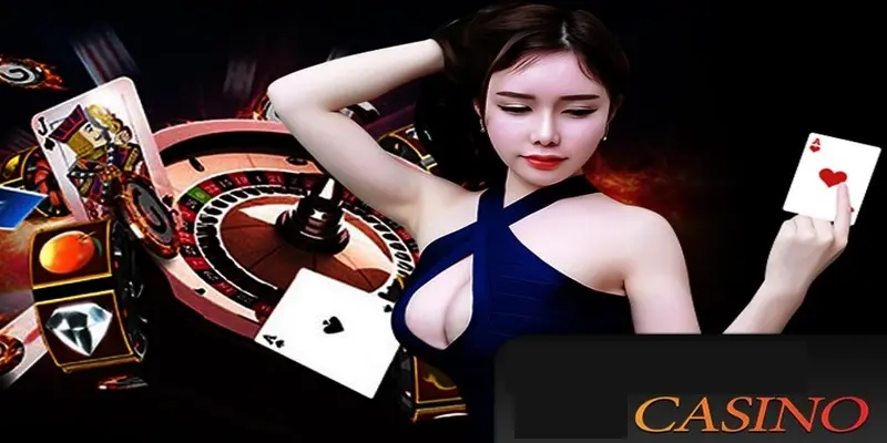 Thông tin chi tiết sảnh DG live casino Kubet