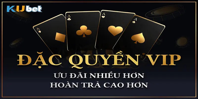 Thông tin chi tiết về chính sách đặc quyền Vip