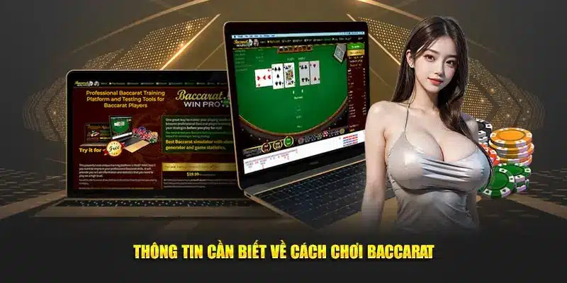 Vì sao cần áp dụng cách chơi baccarat luôn thắng